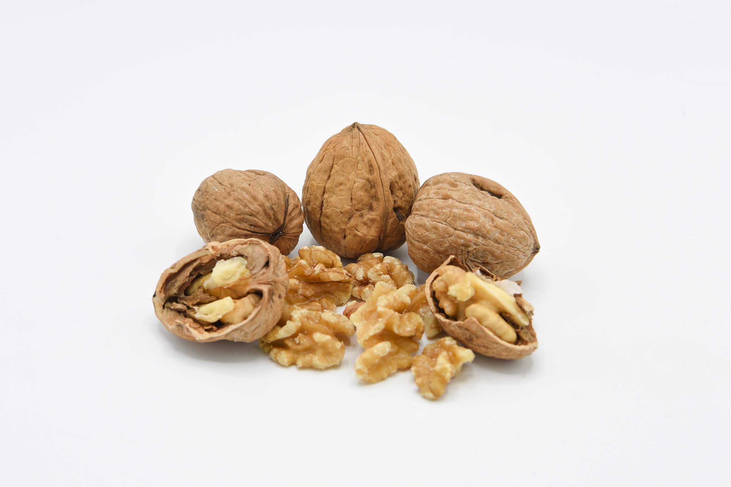 Noce comune – juglans regia